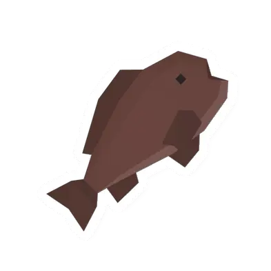 Small Grouper