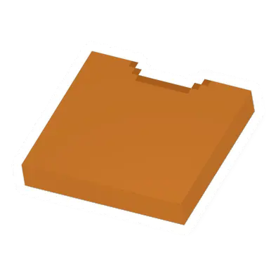 Orange Shirt
