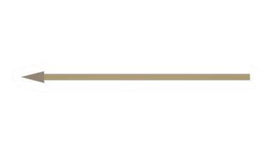 Eucalyptus Arrow