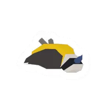 Flycatcher