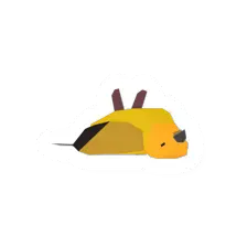 Canary