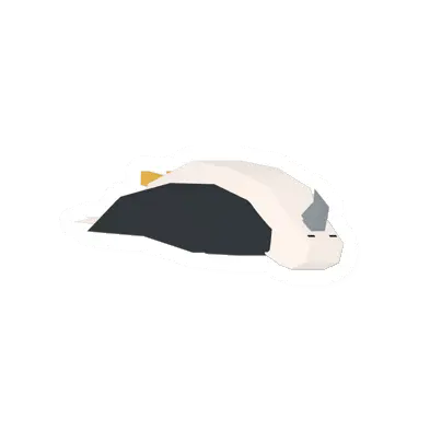 Mantled Hawk
