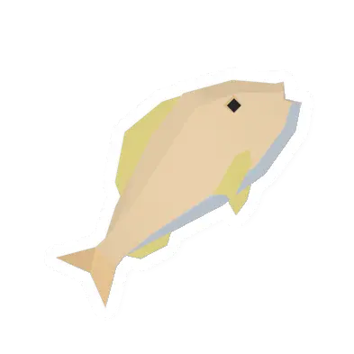 Large Pigfish