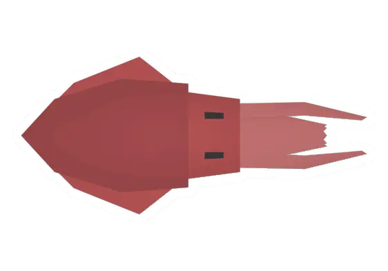 Squid