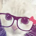 Server Icon