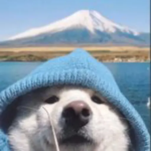 Server Icon