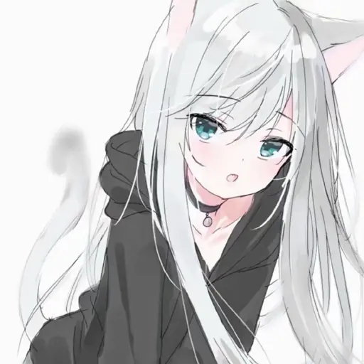 Server Icon
