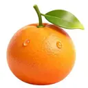 Server Icon