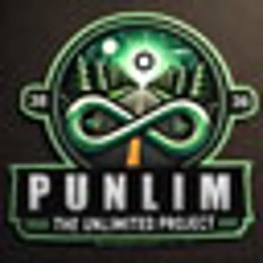 Punlim | Germany | #3 server icon