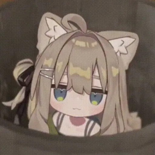 【喵！】2026中南长期服 server icon