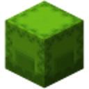 Server Icon