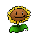 Server Icon